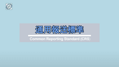 Common Reporting Standard (CRS)