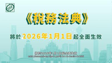 《稅務法典》核准法及《稅務法典》