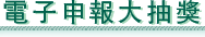 電子申報大抽獎